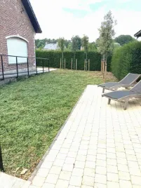 irga-dammera-major-wielodoniczka