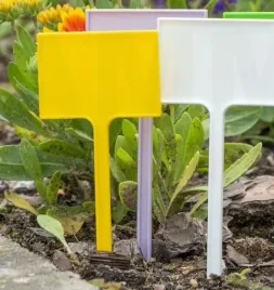 tabliczka-do-roslin-6x4cm-wysokosc-12cm-biala-100-sztuk