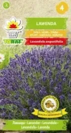 lawenda-02-g-nasiona-ziola