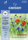 blok-do-akwareli-a5-250g-10-ark-canson