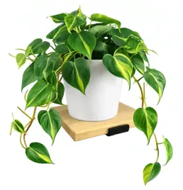 nowoczesny-kwietnik-scienny-polka-scienna-loft-drewno-podstawa-debowa-25x25