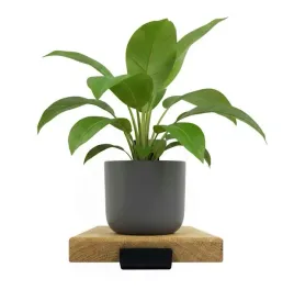 polka-scienna-do-salonu-debowa-podstawa-nowoczesna-solidna-drewno-15cm-loft