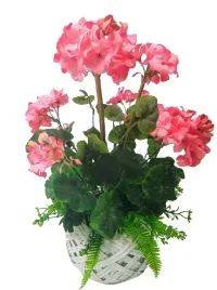 stroik-rozowe-pelargonie-na-cmentarz-koszyk-na-cmentarz-kolumbarium-846