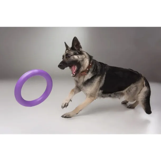 collar-puller-standard-28-ring-do-cwiczen-dla-psow-stan-nowy-waga-z-opakowaniem-0-53-kg