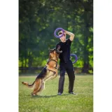 collar-puller-standard-28-ring-do-cwiczen-dla-psow-stan-nowy-waga-530-g