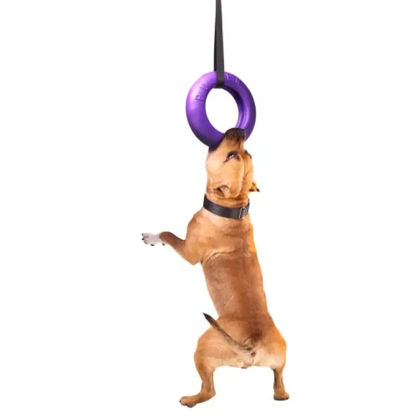 collar-puller-maxi-30cm-ringo-do-cwiczen-dla-psow-wiek-zwierzecia-dla-wszystkich-psow