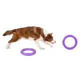 collar-puller-standard-28-ring-do-cwiczen-dla-psow-rodzaj-szarpaki