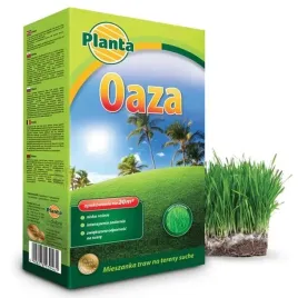 trawa-oaza-teren-suchy-piaszczysty-sloneczny-09kg