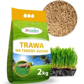trawa-tereny-suche-piaszczyste-sloneczne-oaza-2kg