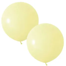 balony-beauty-and-charm-makaronowe-waniliowy-godan-24-2-szt