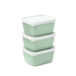 pojemniki-do-zamrazarki-optifridge-bio-3x900ml-amuse