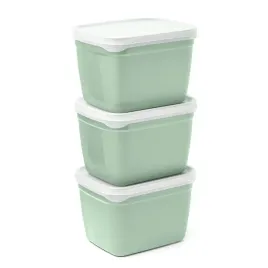 pojemniki-do-zamrazarki-optifridge-bio-3x1-2l-amuse