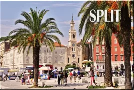 chorwacja-split-palmy-krajobraz-magnes-na-lodowke