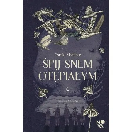 Grafika w opisie produktu