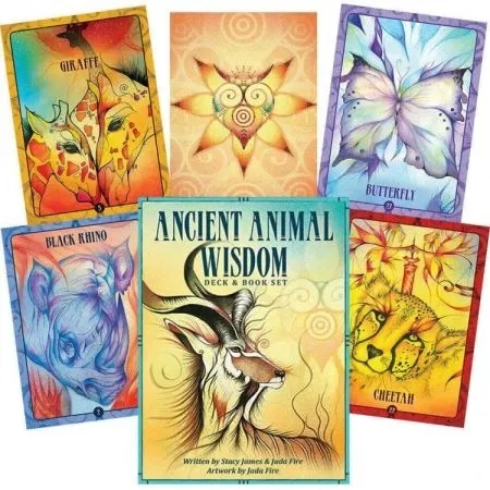 ancient-animal-wisdom-oracle-nazwa-ancient-animal-wisdom-deck-and-book-set