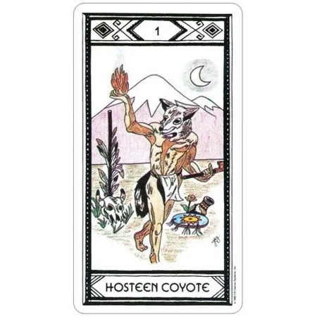 native-american-tarot-stan-opakowania-oryginalne