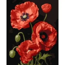 qbee-malowanie-po-numerach-czerwone-maki-40x50cm