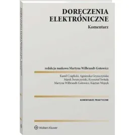 doreczenia-elektroniczne-komentarz