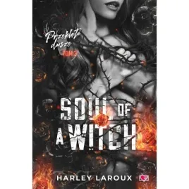 soul-of-a-witch-przeklete-dusze-tom-3-harley-laroux