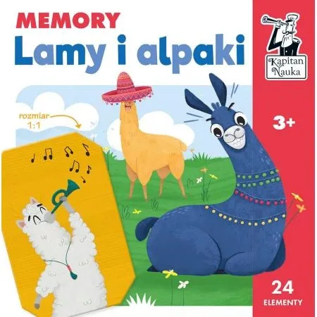 memory-lamy-i-alpaki