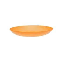 talerz-piknikowy-plastikowy-plytki-obiadowy-26cm