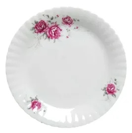 talerz-plytki-obiadowy-porcelanowy-24cm