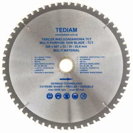 tediam-multi-300x32x60-tarcza-z-wegl-spiek