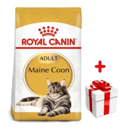 royal-canin-maine-coon-adult-4kg-karma-sucha-dla-kotow-doroslych-rasy-maine