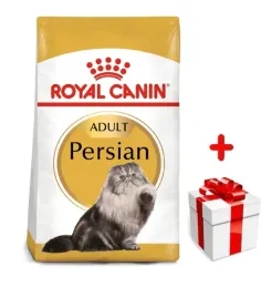 royal-canin-persian-adult-400g-karma-sucha-dla-kotow-doroslych-rasy-perskie