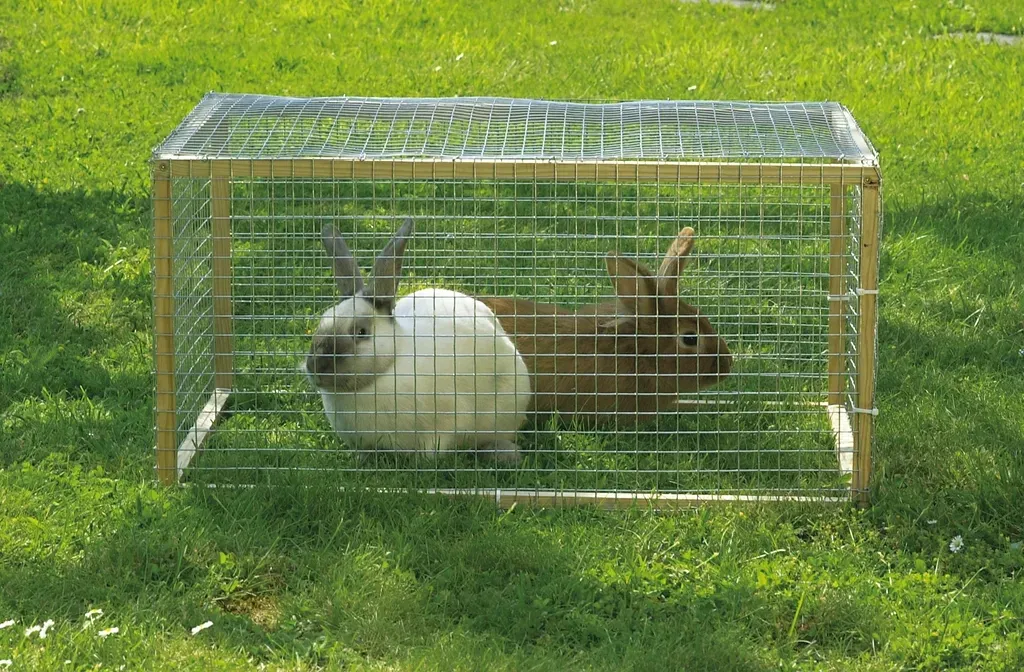 siatka-zgrzewana-hodowlana-2xocynk-6mm-05x25m-waga-z-opakowaniem-9-kg