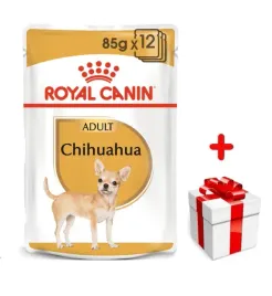 royal-canin-chihuahua-adult-12x85g-karma-mokra-pasztet-dla-psow-doroslyc