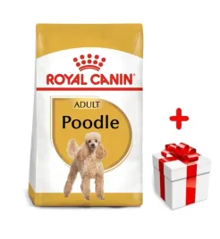 royal-canin-poodle-adult-15kg-karma-sucha-dla-psow-doroslych-rasy-pudel-mi