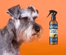 spray-na-swedzaca-skore-dla-psa-i-kota-or-na-sucha-skore-or-100ml