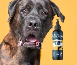 ziolowy-suplement-dla-starszego-psa-or-stawy-serce-mozg-or-500ml