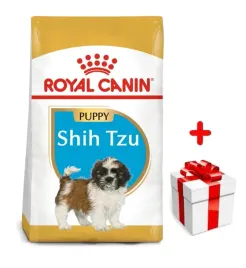 royal-canin-shih-tzu-puppy-500g-karma-sucha-dla-szczeniat-do-10-miesiaca-r