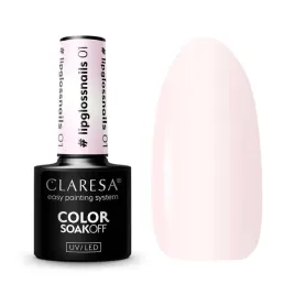 claresa-color-soak-off-uv-led-lakier-hybrydowy-lipglossnails-01-5g