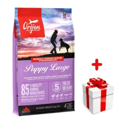 orijen-dog-puppy-large-114kg-niespodzianka-dla-psa-gratis