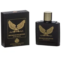 real-time-big-eagle-collection-black-woda-toaletowa-spray-100ml