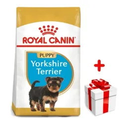 royal-canin-yorkshire-terrier-puppy-15kg-karma-sucha-dla-szczeniat-do-10-m