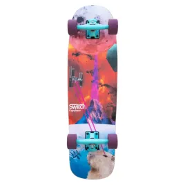 longboard-cruiser-switch-capybara-collage