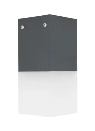 lampa-sufitowa-cube-max-cb-max-s-dg-su-ma