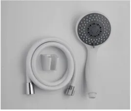 zestaw-natryskowy-gianna-bialy-z-uchwytem-punktowy