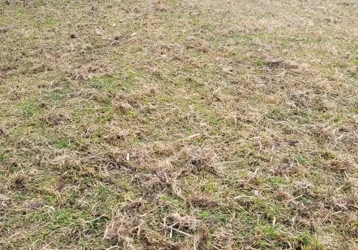 aerator-do-kosiarki-traktorka-brona-wertykulator-stan-nowy-seria-garden