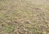 aerator-do-kosiarki-traktorka-brona-wertykulator-stan-nowy-seria-garden