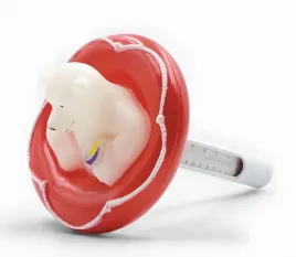 gamix-basenowy-termometr-plywajacy-czerowny-mis