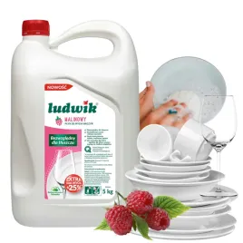 ludwik-plyn-do-naczyn-malinowy-wydajny-skuteczny-i-odswiezajacy-zapas-5-l