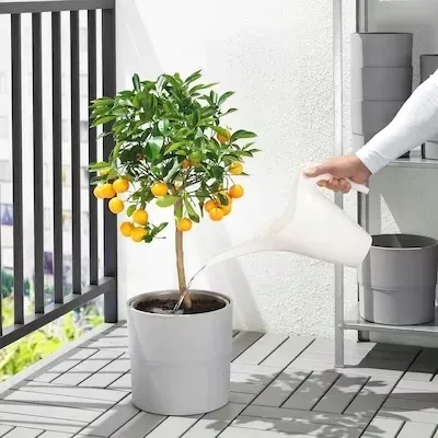 ikea-ikea-ps-2002-konewka-bialy-1-2-l
