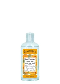 hand-sanitizer-o-zapachu-melona-100-ml