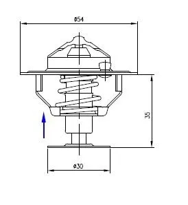 termostat-2485613-landini-polmo-stan-nowy