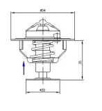 termostat-2485613-landini-polmo-stan-nowy
